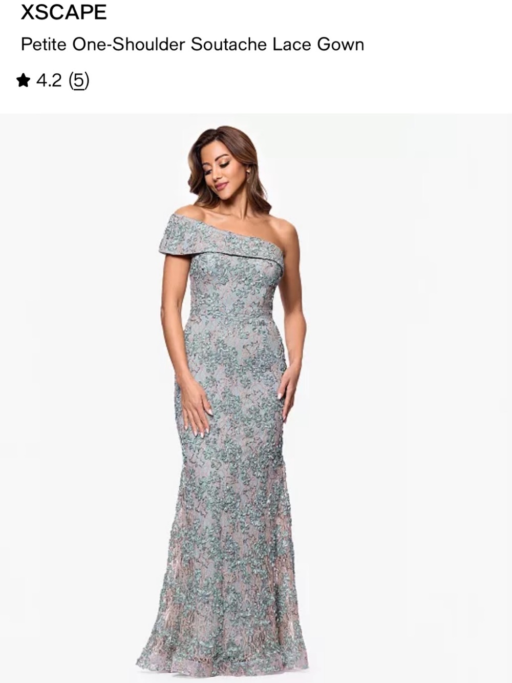 Xscape One-Shoulder Soutache Lace Gown in Blush and Sage